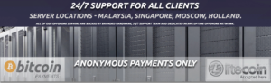 bitcoin hosting